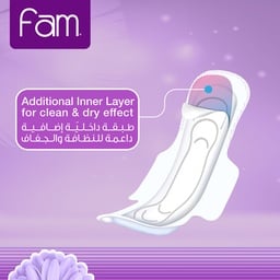 Fam Night Sanitary Pads Folded With Wings 48 pcs