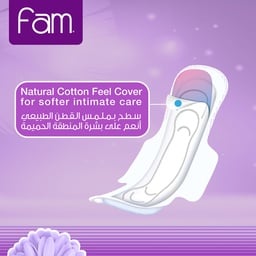 Fam Night Sanitary Pads Folded With Wings 48 pcs