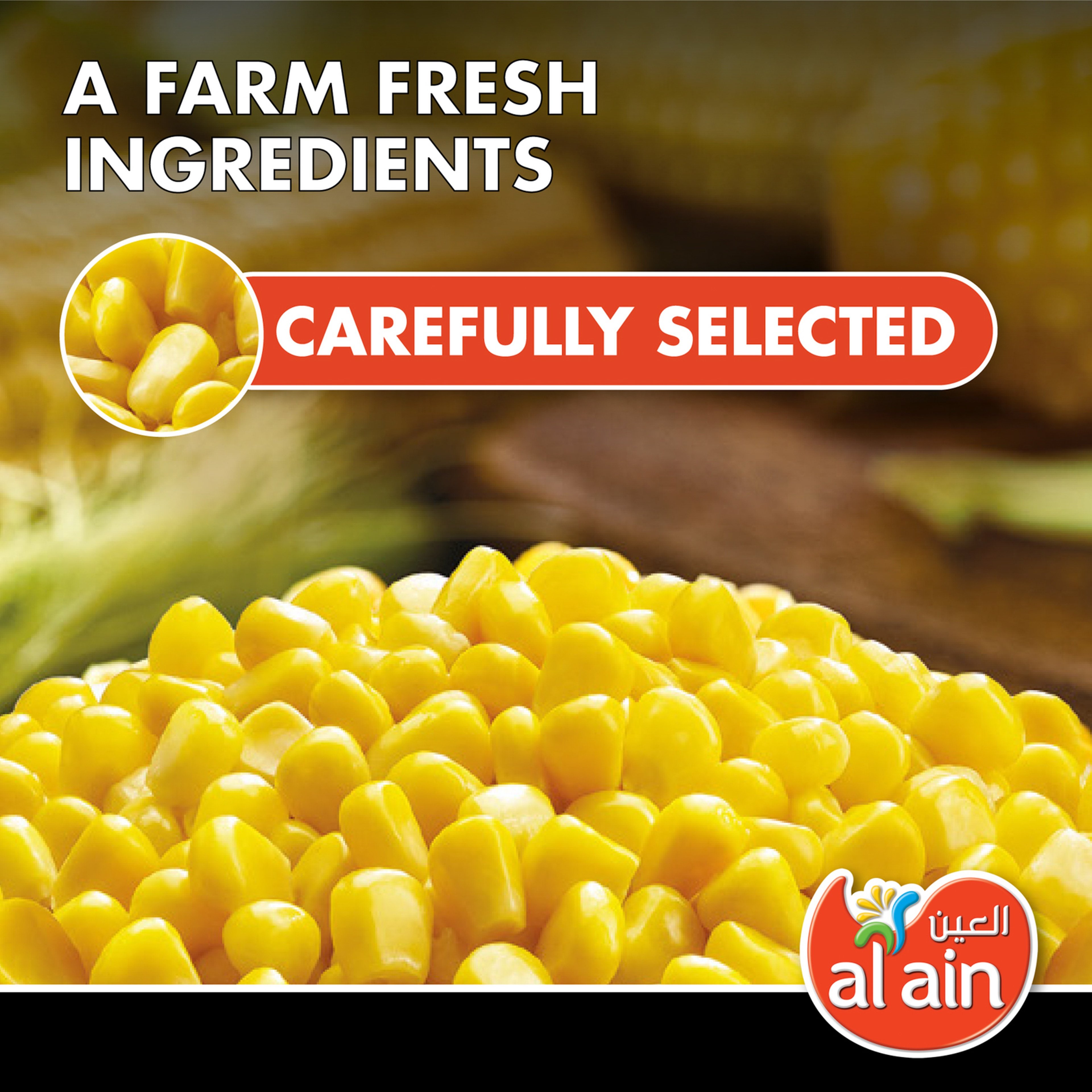 Al Ain Sweet Corn 500 g